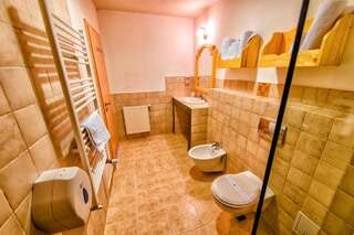 Гостевой дом Brandeberg Pension & Restaurant Бран Двухместный номер Делюкс с 1 кроватью-5
